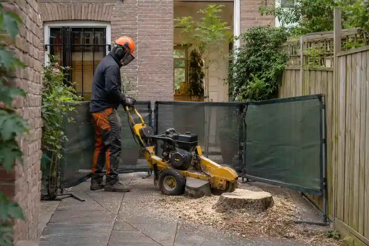 Compacte stobbenfrees werkt in een besloten Amsterdamse stadstuin