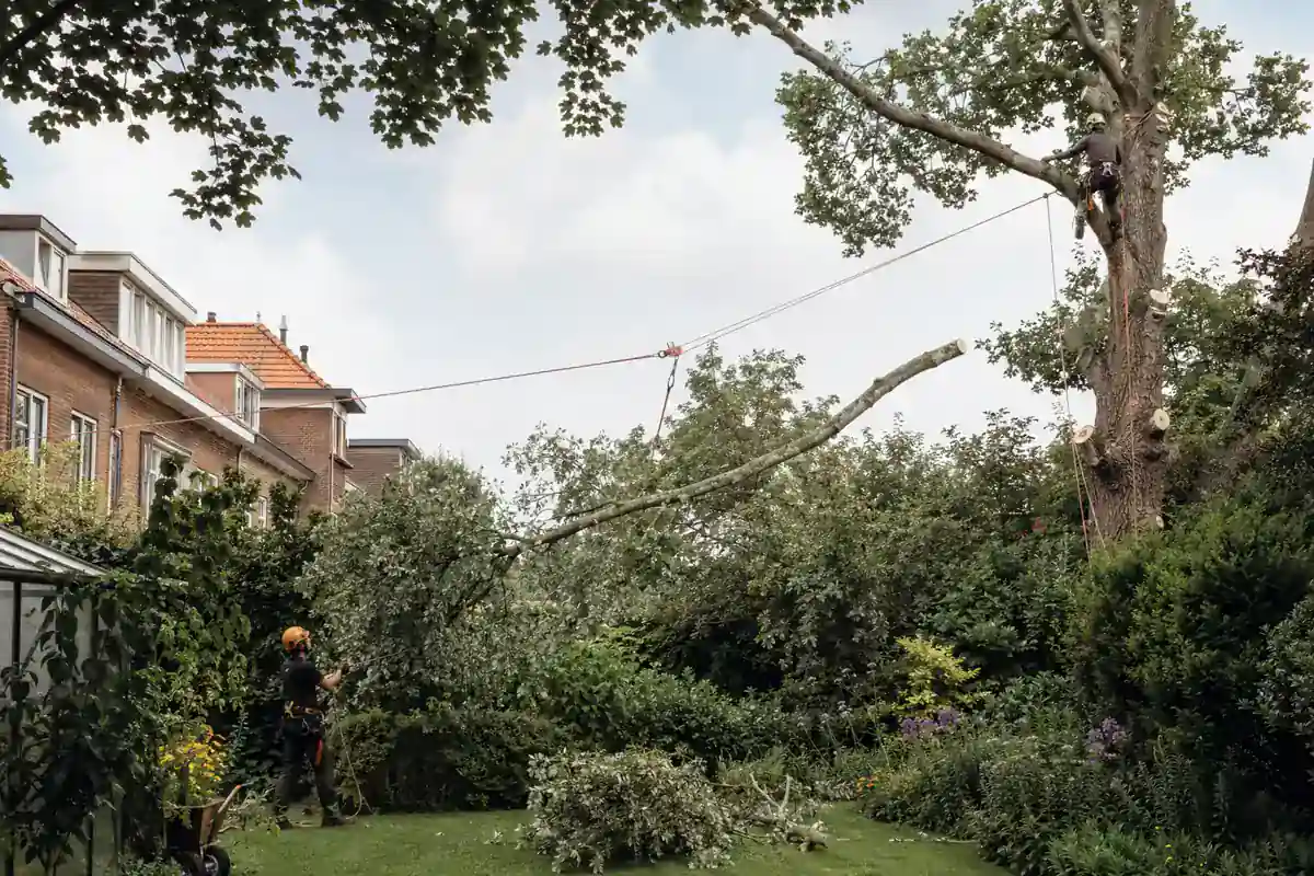 Boomverzorgers verwerken takken en stamstukken na gecontroleerd bomenwerk