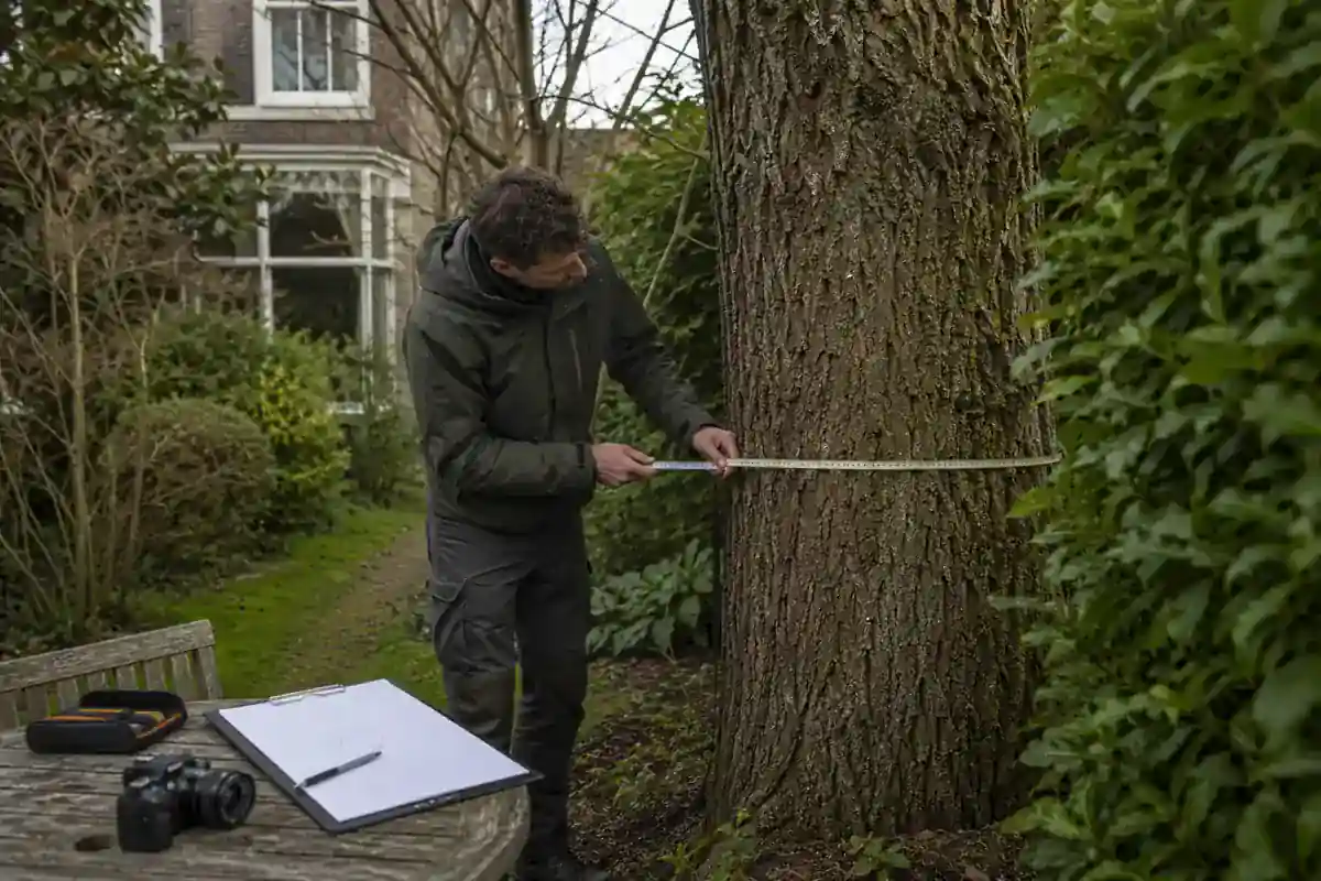 Boomdeskundige legt de conditie van een Utrechtse tuinboom vast