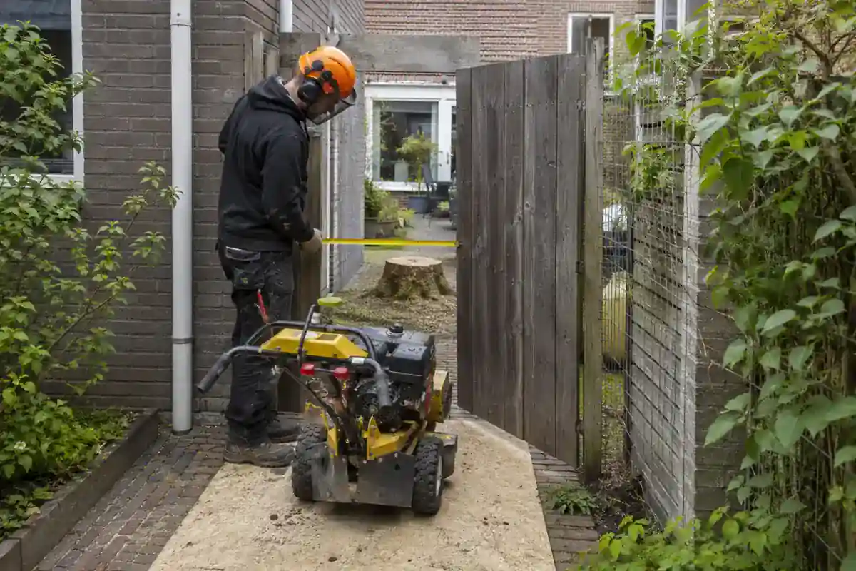Doorgang wordt gemeten om te bepalen of een compacte stobbenfrees past